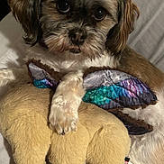 Layla joined the competition — help win amazing prizes! dog, plush_toy, stuffed_animal, bed, pet, cute, fur, brown, white, ears, paws, lying_down, cozy, soft, indoor, animal, looking, colorful, wings, toy