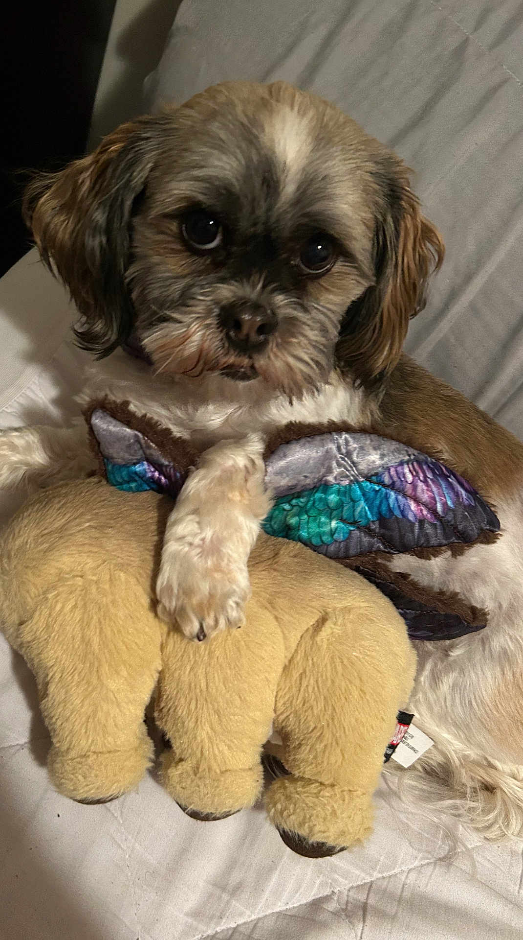Layla