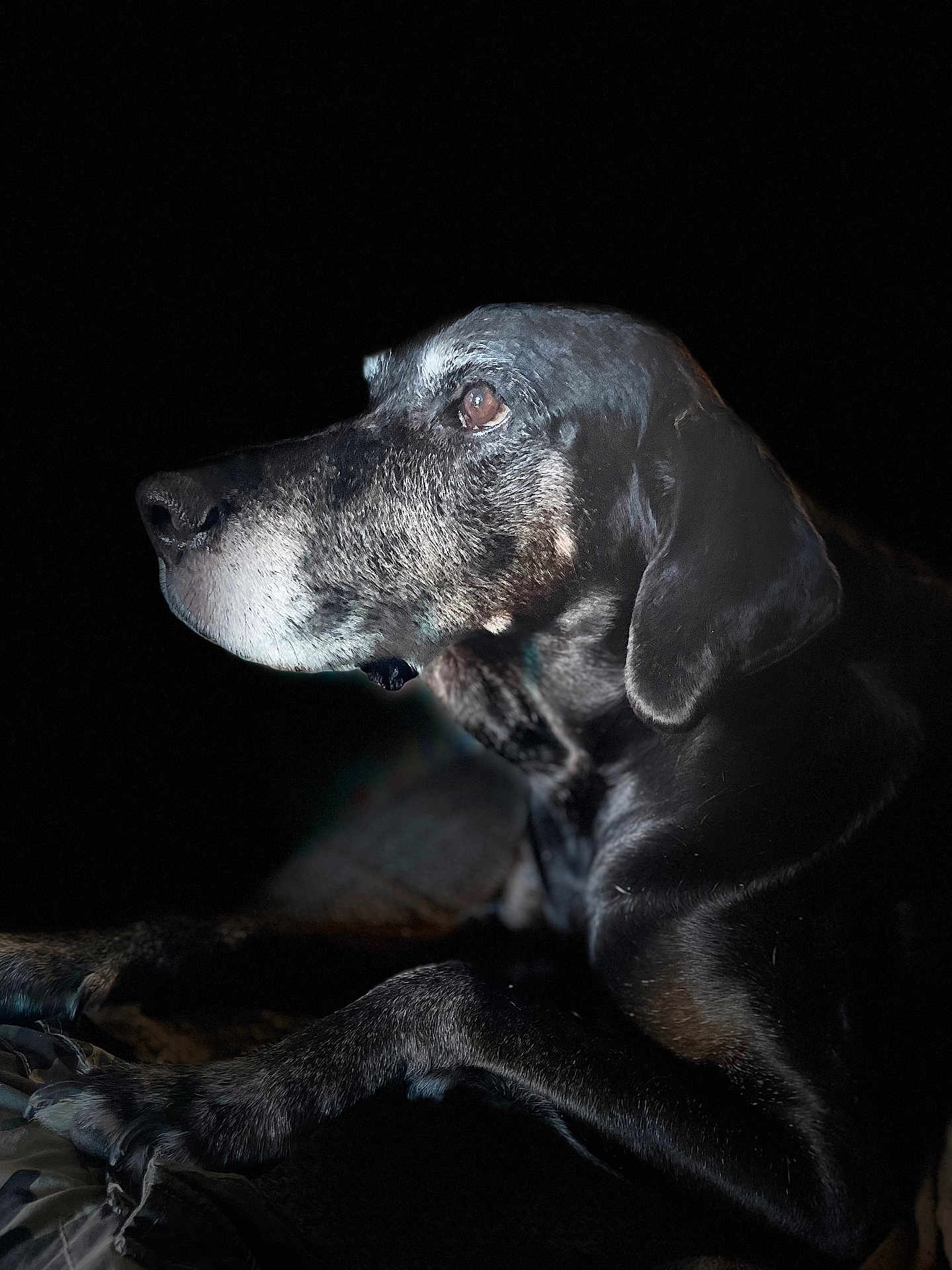 Django
