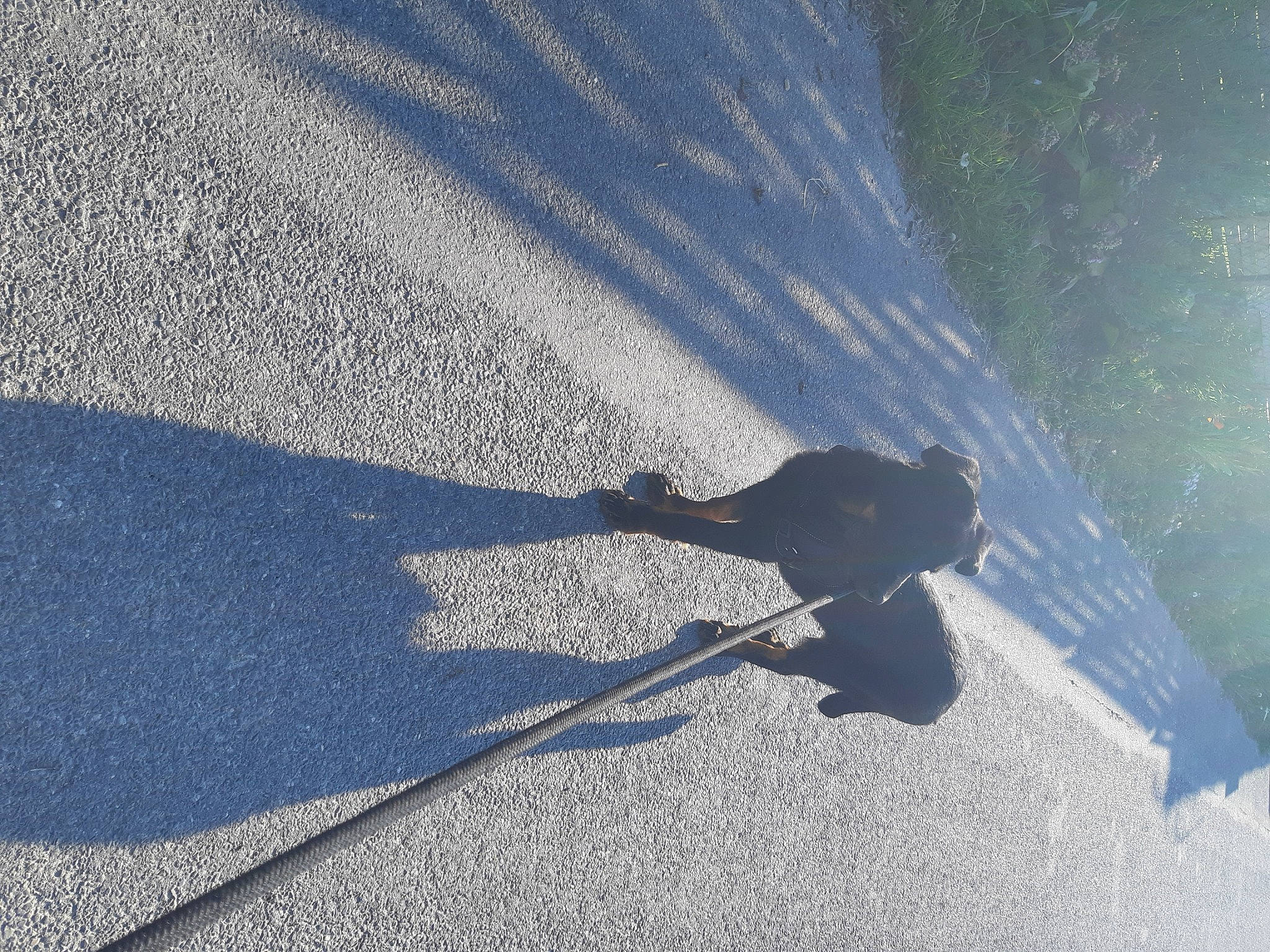 Vickie participe au concours pour gagner de l'argent avec cette photo : asphalt, cloud, mountain, road, road_surface, shadow, sidewalk, sky, sunlight, tar, tints_and_shades, tree