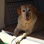 Emma joined the competition — help win amazing prizes!