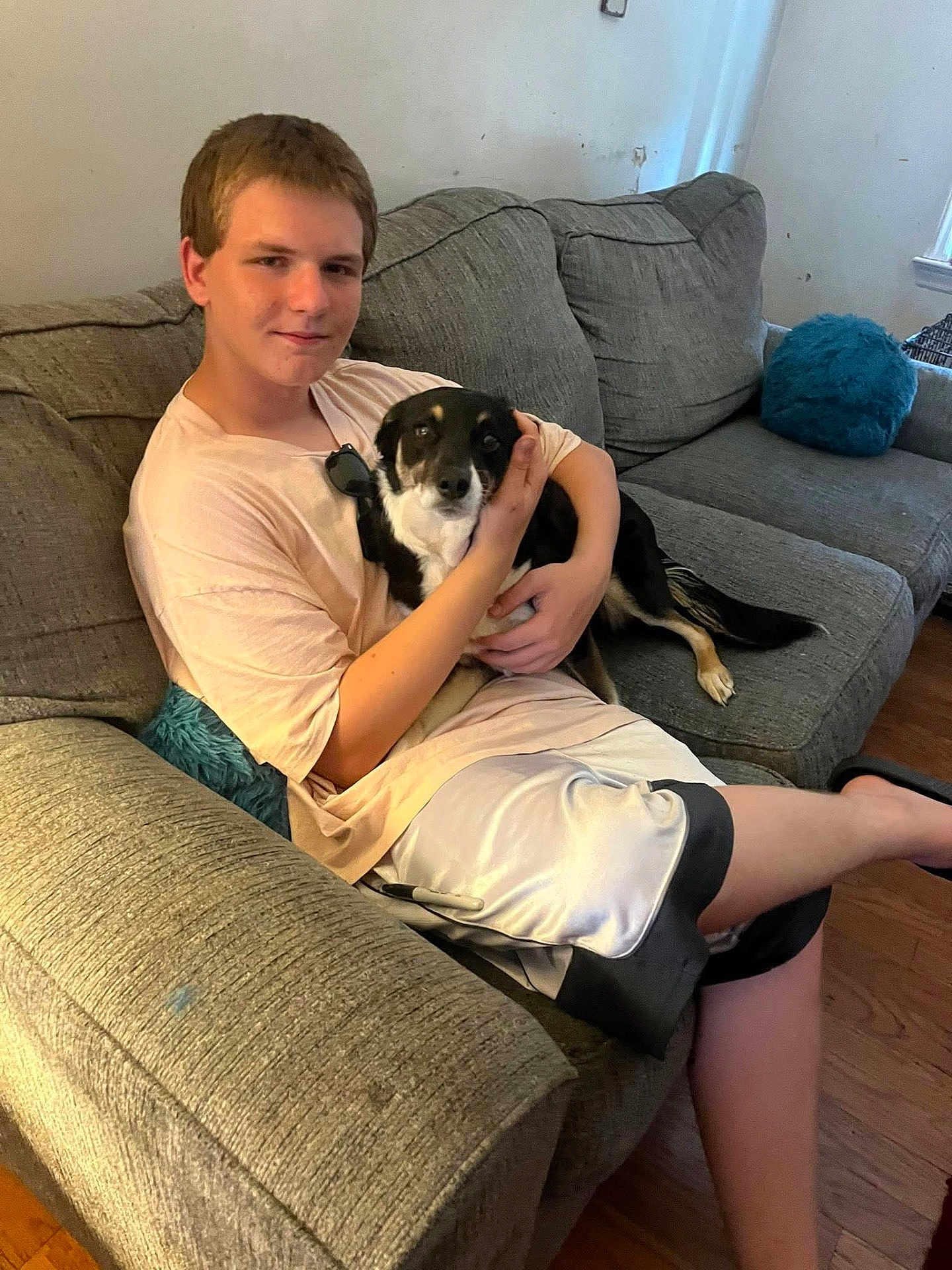 Sissy is registered to the contest to win money with this photo: animal, boy, casual_clothing, companionship, couch, dog, domestic, friendly, human, indoor, living_room, pet, pillow, relaxed, seated, shorts, smile, tshirt, wooden_floor, young_person