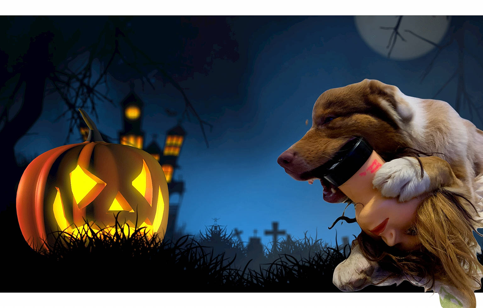 Spyk participe au concours pour gagner de l'argent avec cette photo : art, calabaza, carnivore, companion_dog, cucurbita, dog, dog_breed, fawn, gesture, gourd, grass, happy, jack_o_lantern, people_in_nature, plant, pumpkin, squash, tree, winter_squash, working_animal