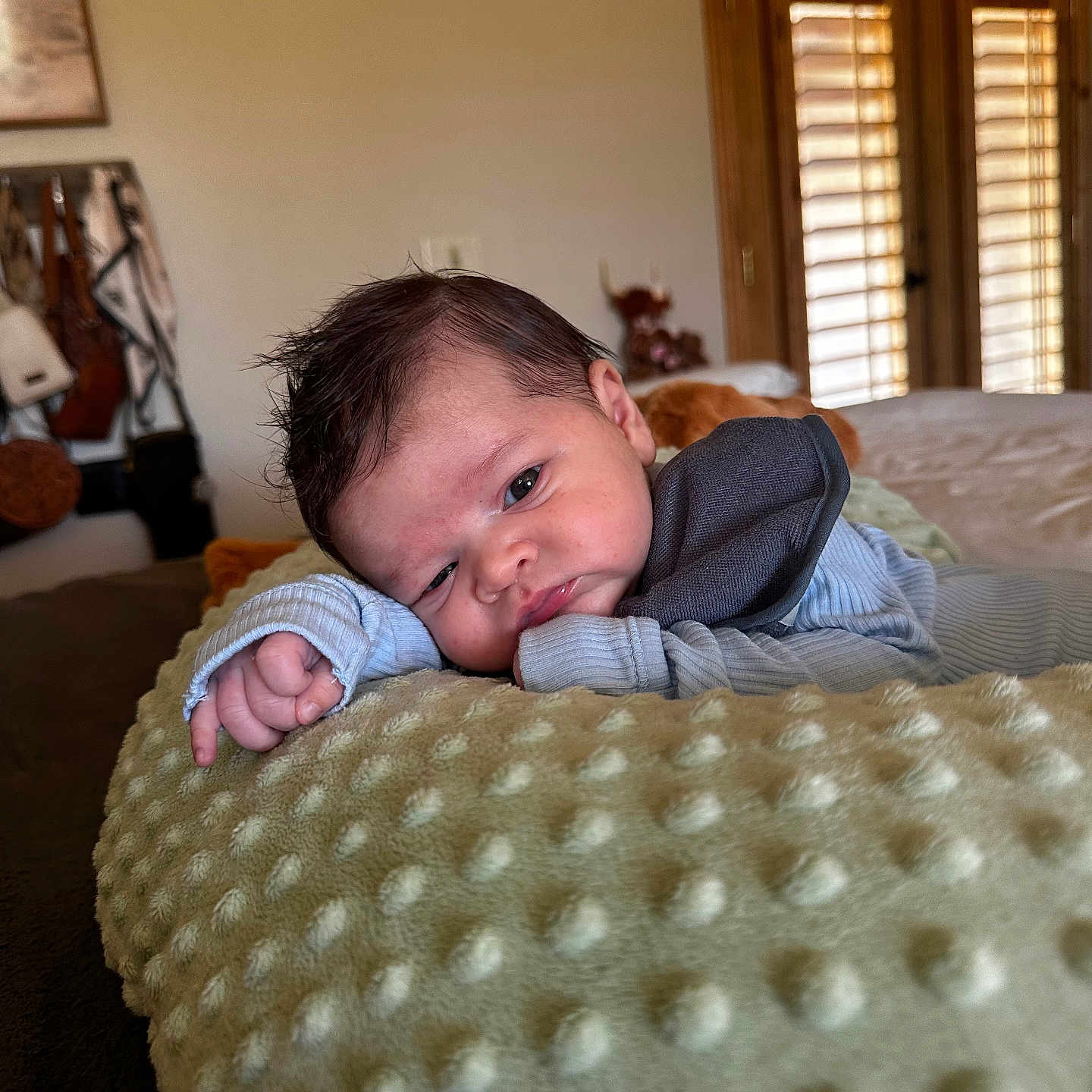 Wacey is registered to the contest to win money with this photo: accessories, baby, bag, bed, bedroom, blanket, bodypart, cushion, face, finger, furniture, hand, handbag, head, homedecor, indoors, newborn, person, photography, portrait