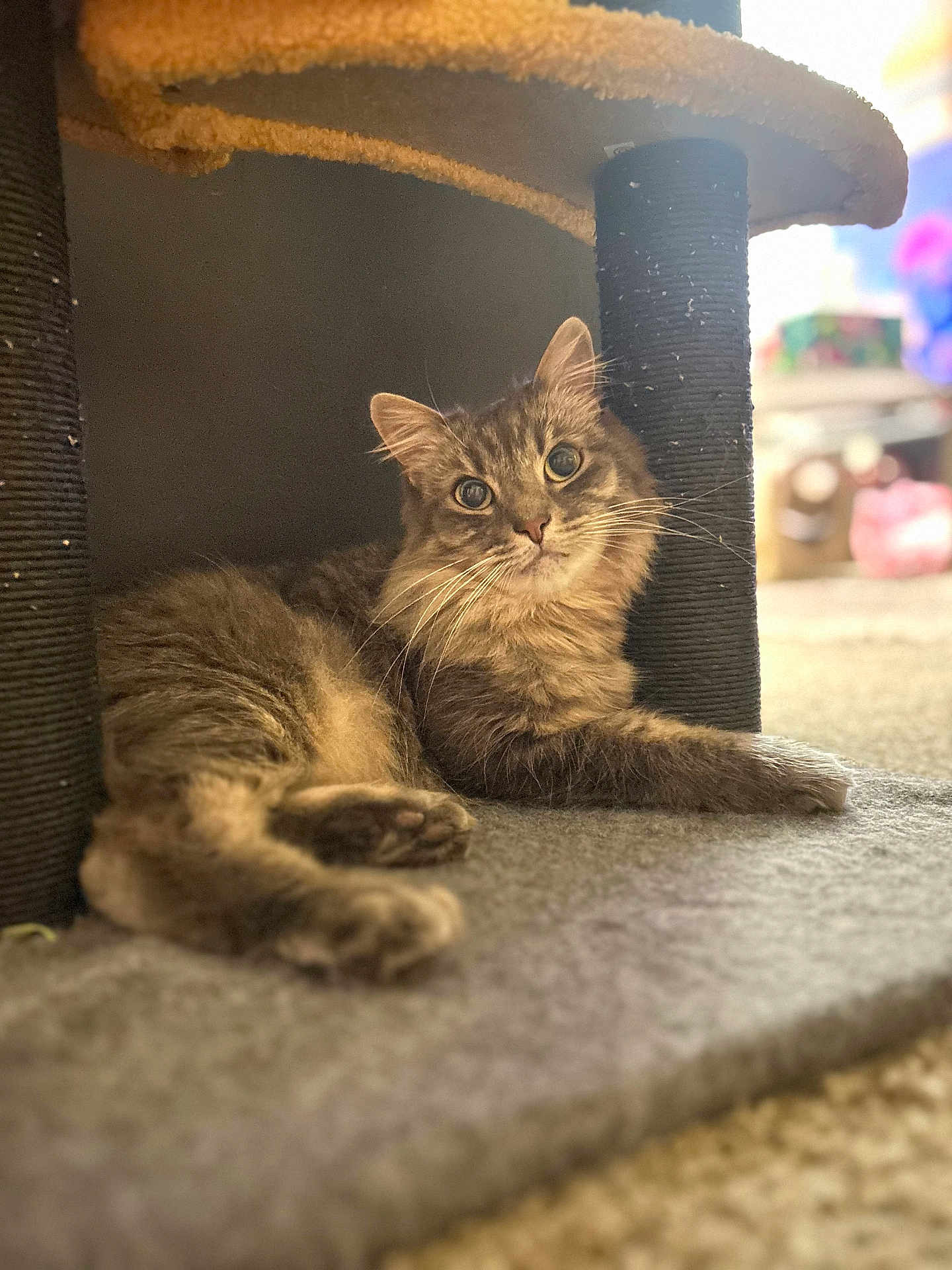 Oliver