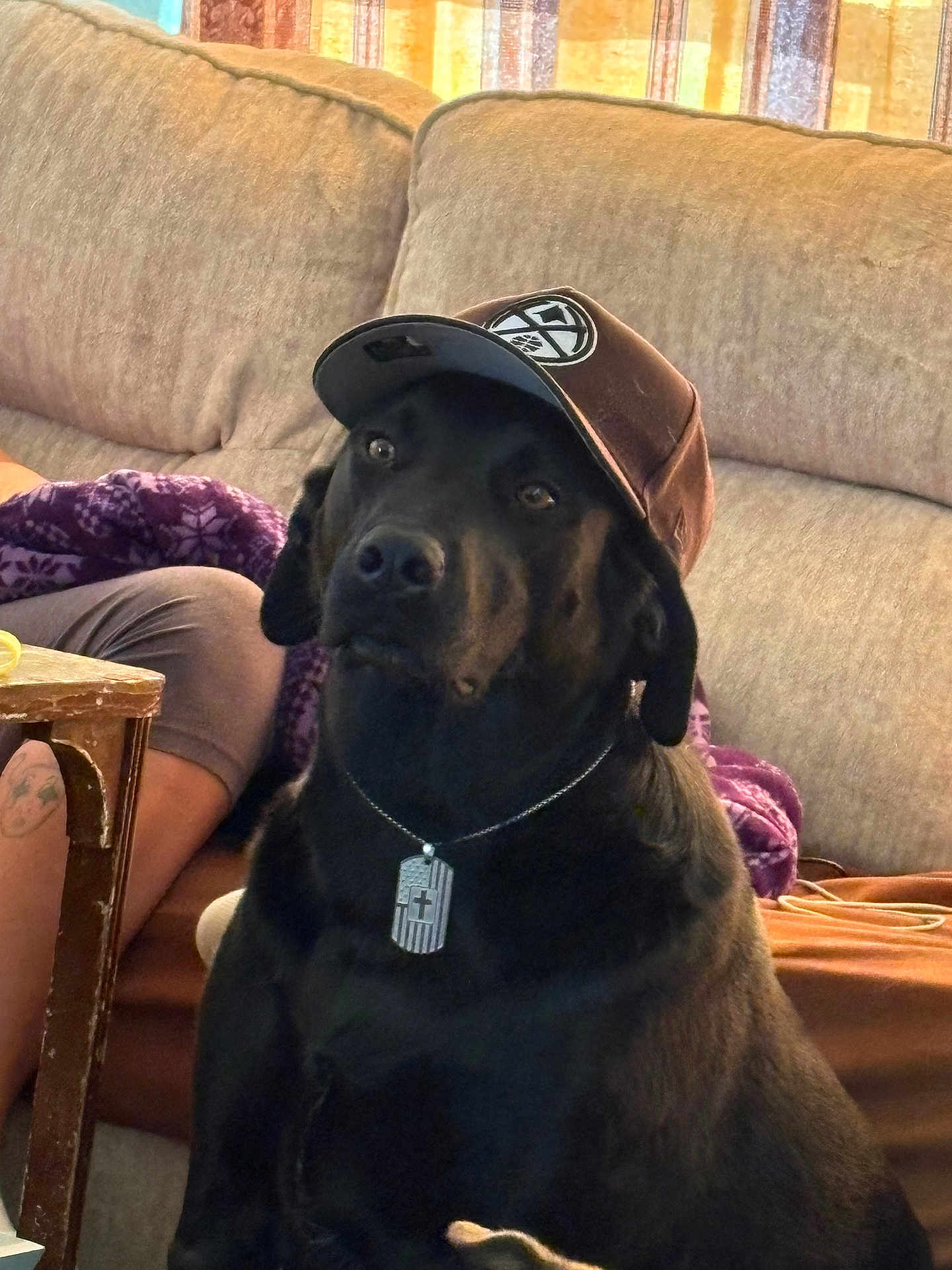 Tucker