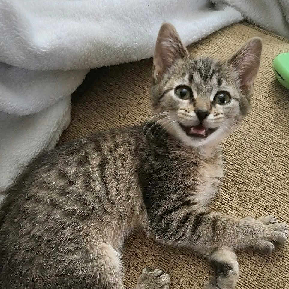 Coco