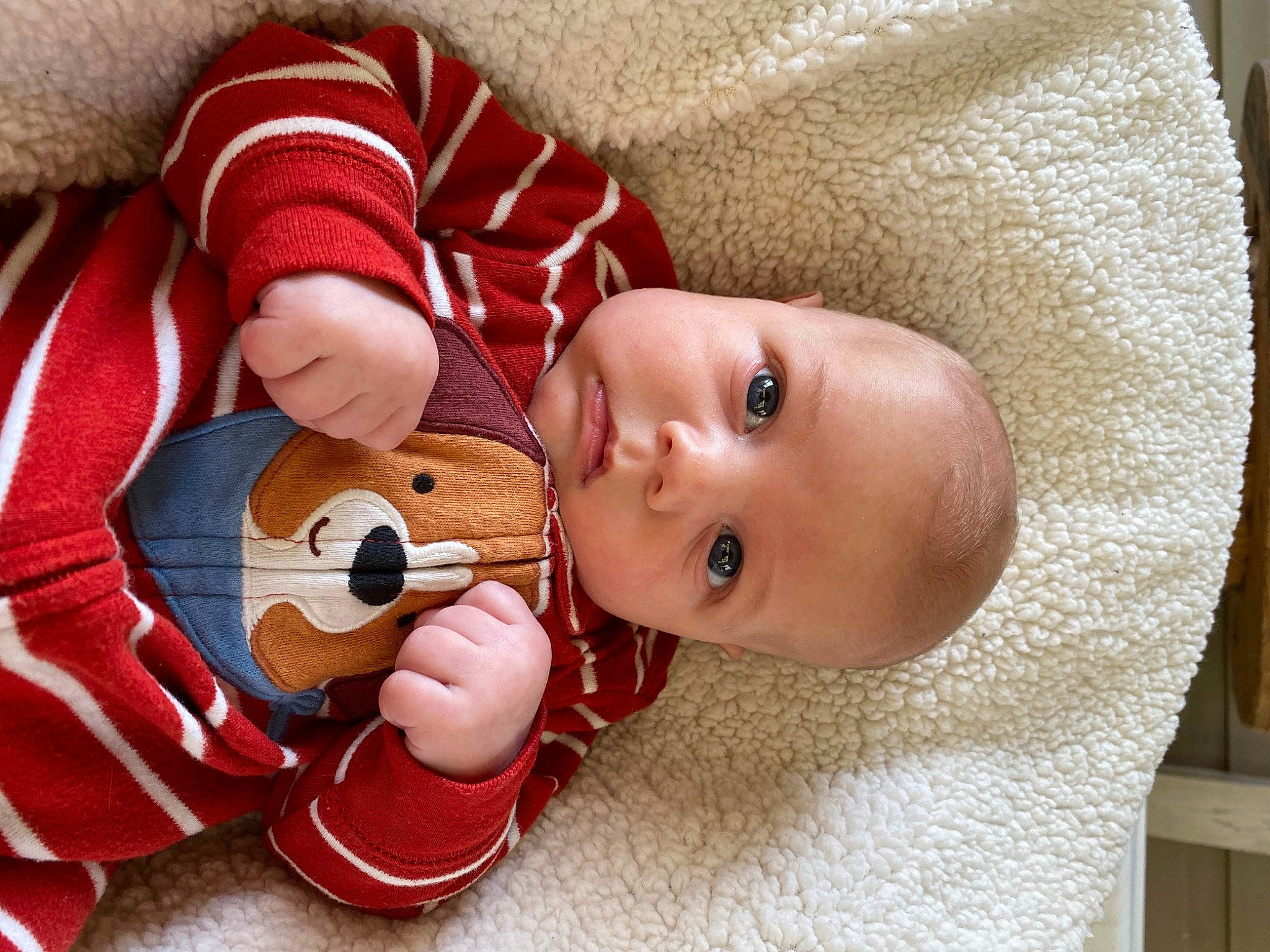 Brantley is registered to the contest to win money with this photo: baby, baby_products, baby_safety, baby_toddler_clothing, baby_toys, cheek, child, comfort, eye, fur, happy, head, nose, person, skin, sleeve, stuffed_toy, textile, toddler, toy
