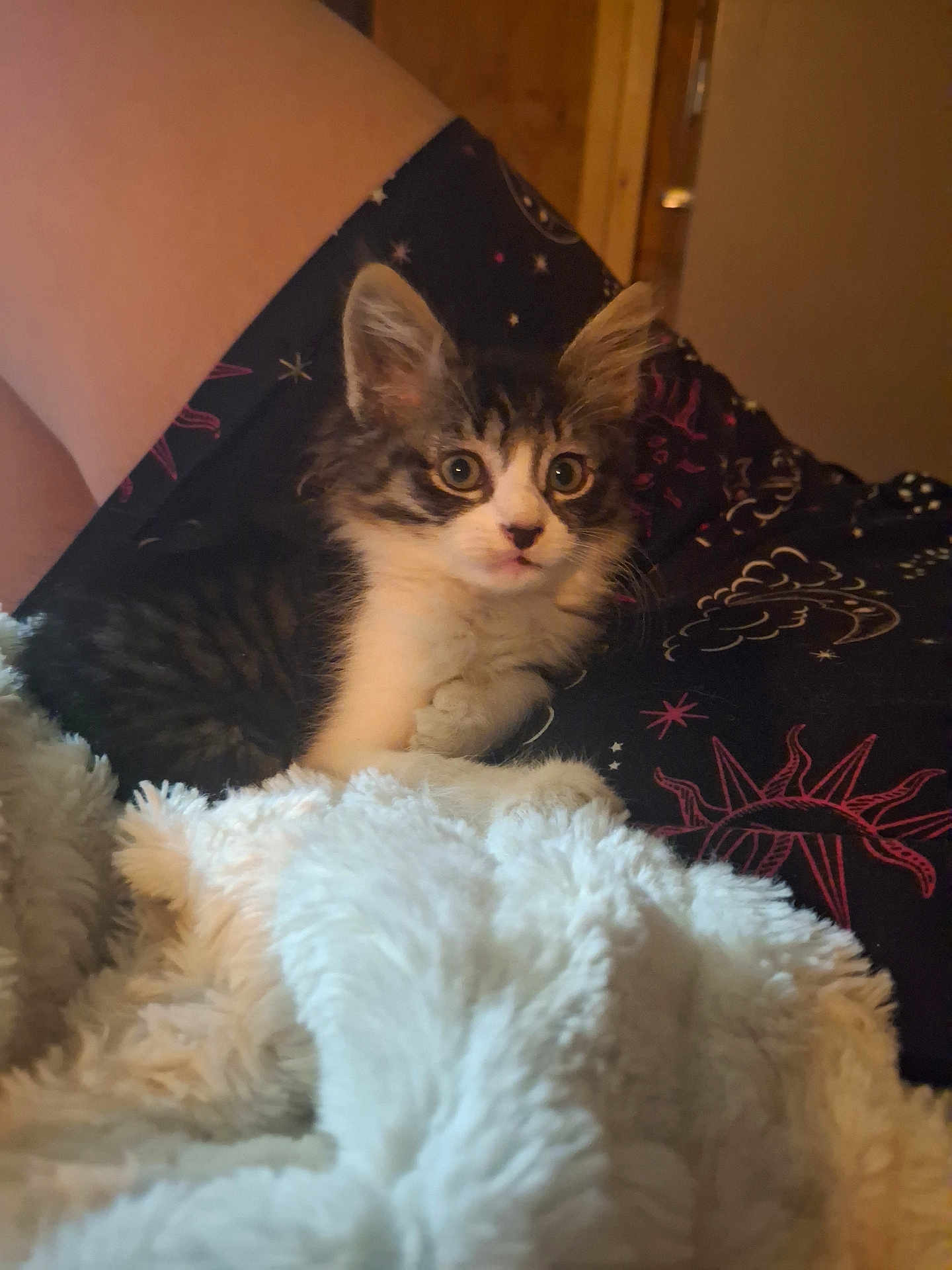 Mittens