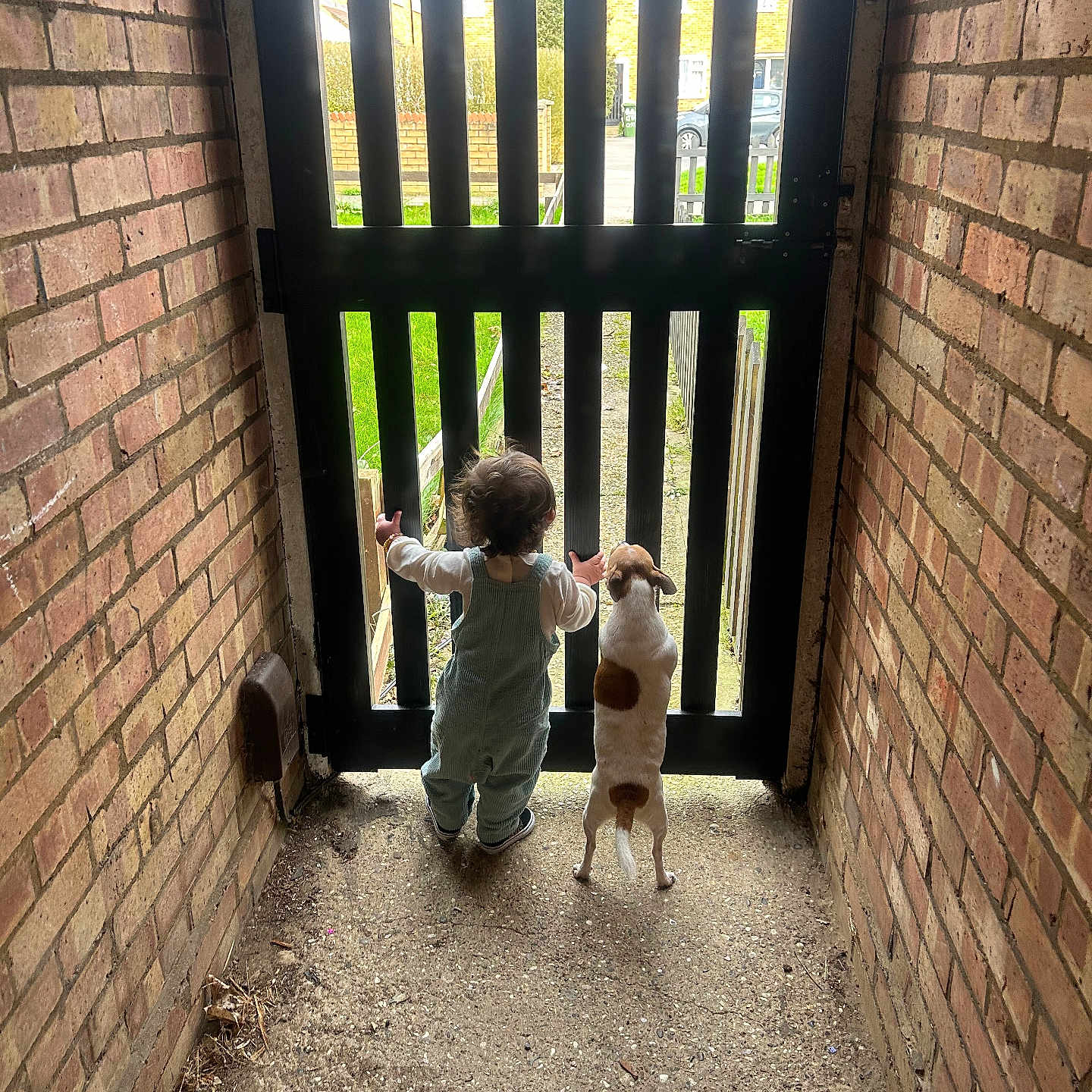 Arabella is registered to the contest to win money with this photo: alley, architecture, baby, brick, building, city, clothing, face, head, outdoors, pants, path, person, photography, portrait, road, shelter, soil, street, urban