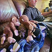 Brindy joined the competition — help win amazing prizes! blanket, blue, brown, couch, cozy, dog, furniture, glasses, home, indoor, lamp, laptop, leather, man, monkey_toy, plush_toy, relaxed, resting, seated, white