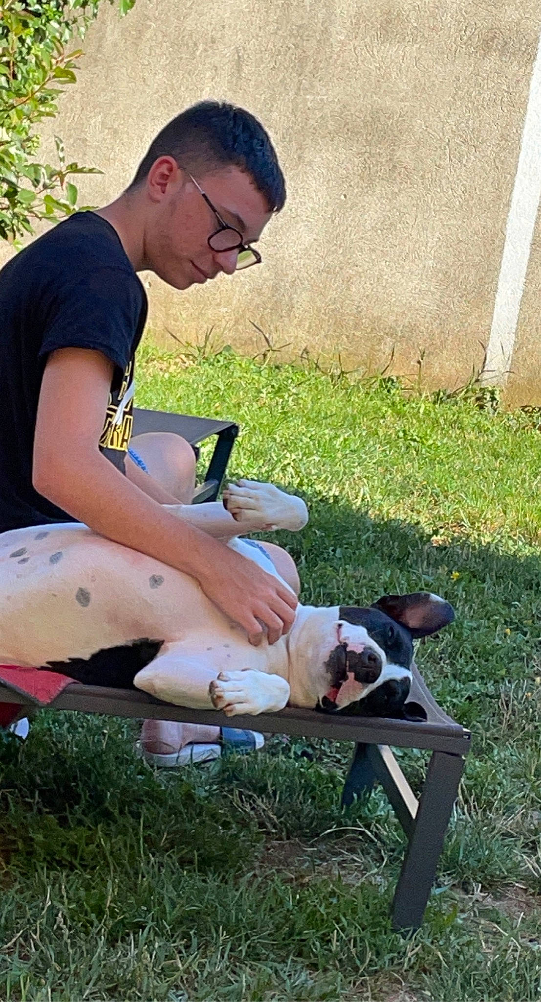 Zorba participe au concours pour gagner de l'argent avec cette photo : camera, companion_dog, dog_breed, eyewear, fawn, glasses, grass, human_leg, knee, lap, lawn, leisure, plant, reading, recreation, shorts, sitting, summer, sunglasses, thigh