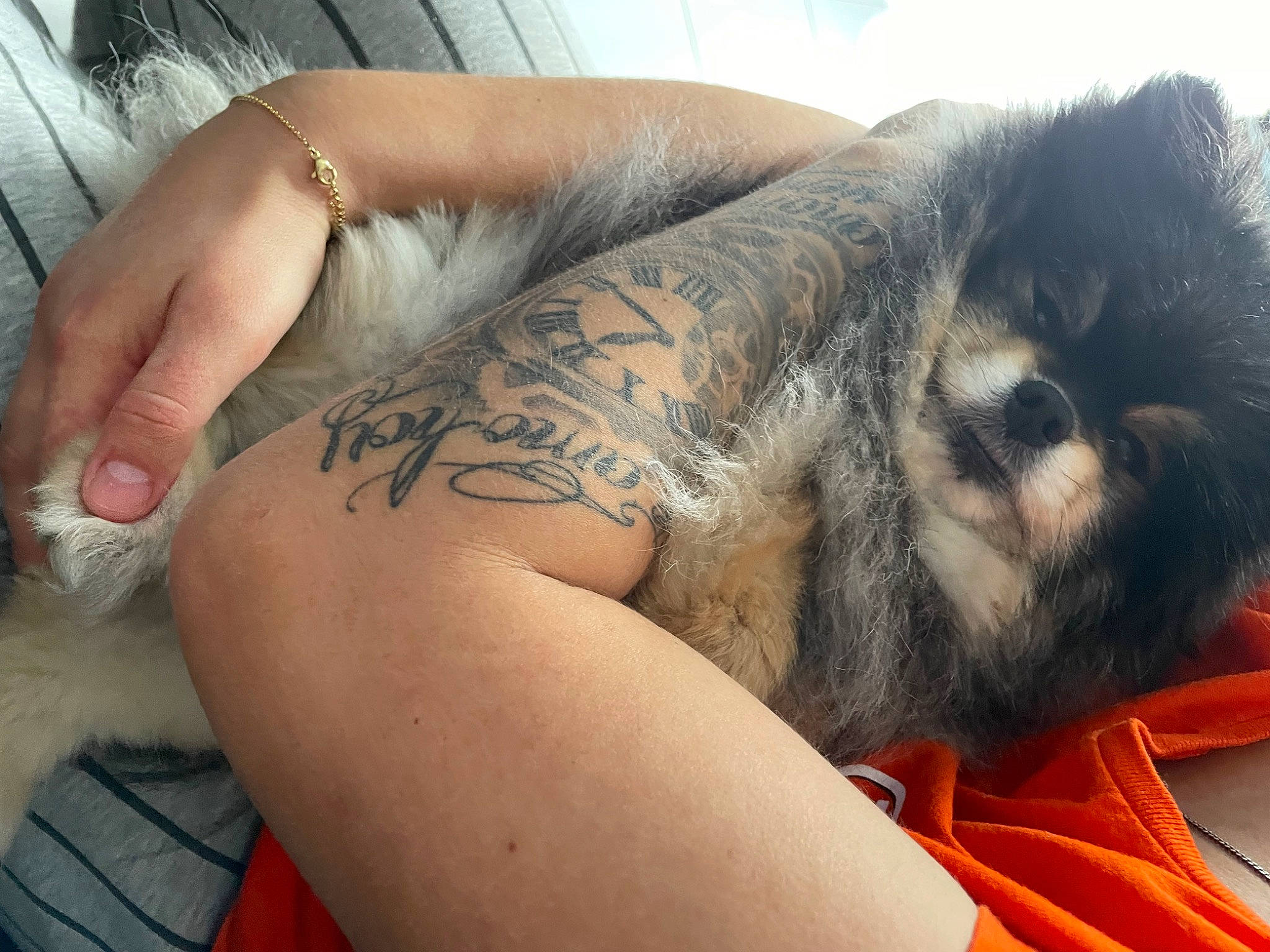 Poupette participe au concours pour gagner de l'argent avec cette photo : art, back, calf, cover_up, elbow, feather, finger, flesh, font, fur, human_leg, ink, joint, pattern, sleeve, tattoo, temporary_tattoo, thigh, wing, wrist