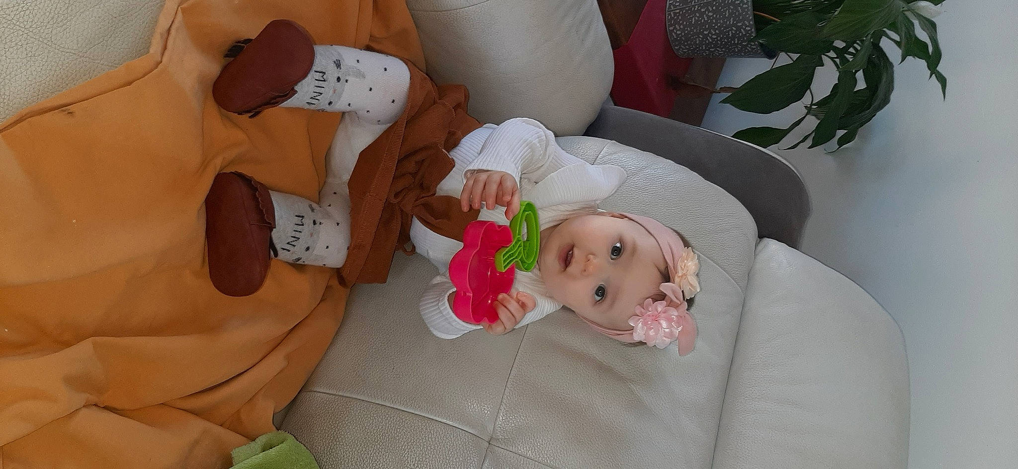 Alycia participe au concours pour gagner de l'argent avec cette photo : baby, baby_products, baby_toddler_clothing, cheek, comfort, dress, eye, facial_expression, hat, headwear, human_body, leg, mouth, person, pink, plant, room, sitting, skin, textile