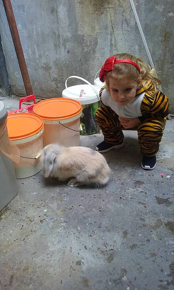 Pompom participe au concours pour gagner de l'argent avec cette photo : canidae, person