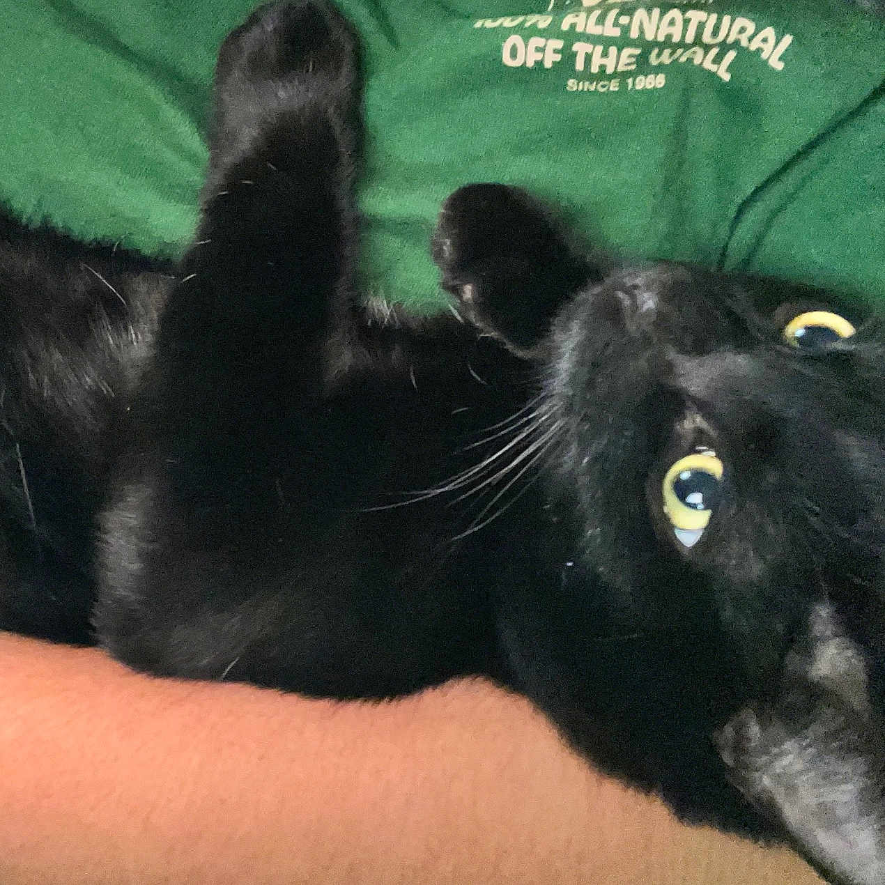 Umbreon