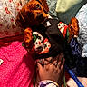 animal, bed, blanket, colorful, comfort, cozy, cute, dog, domestic, fabric, fur, hand, harness, human_hand, indoor, pet, pillow, plush, resting, soft