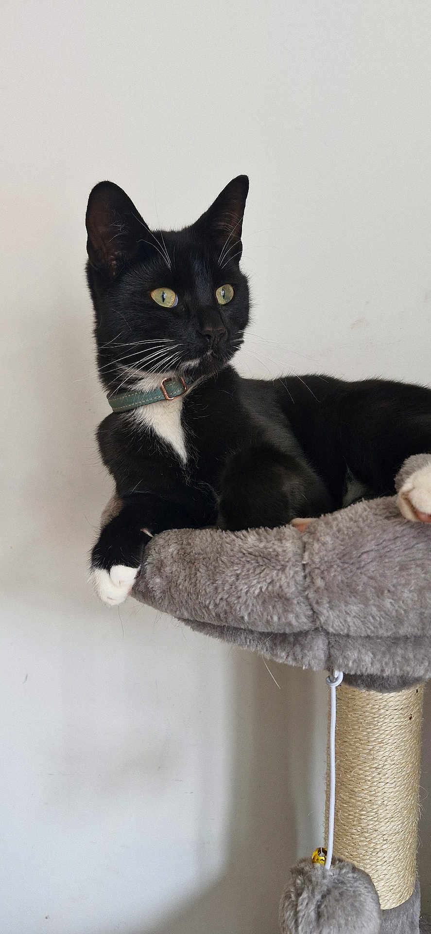Tux