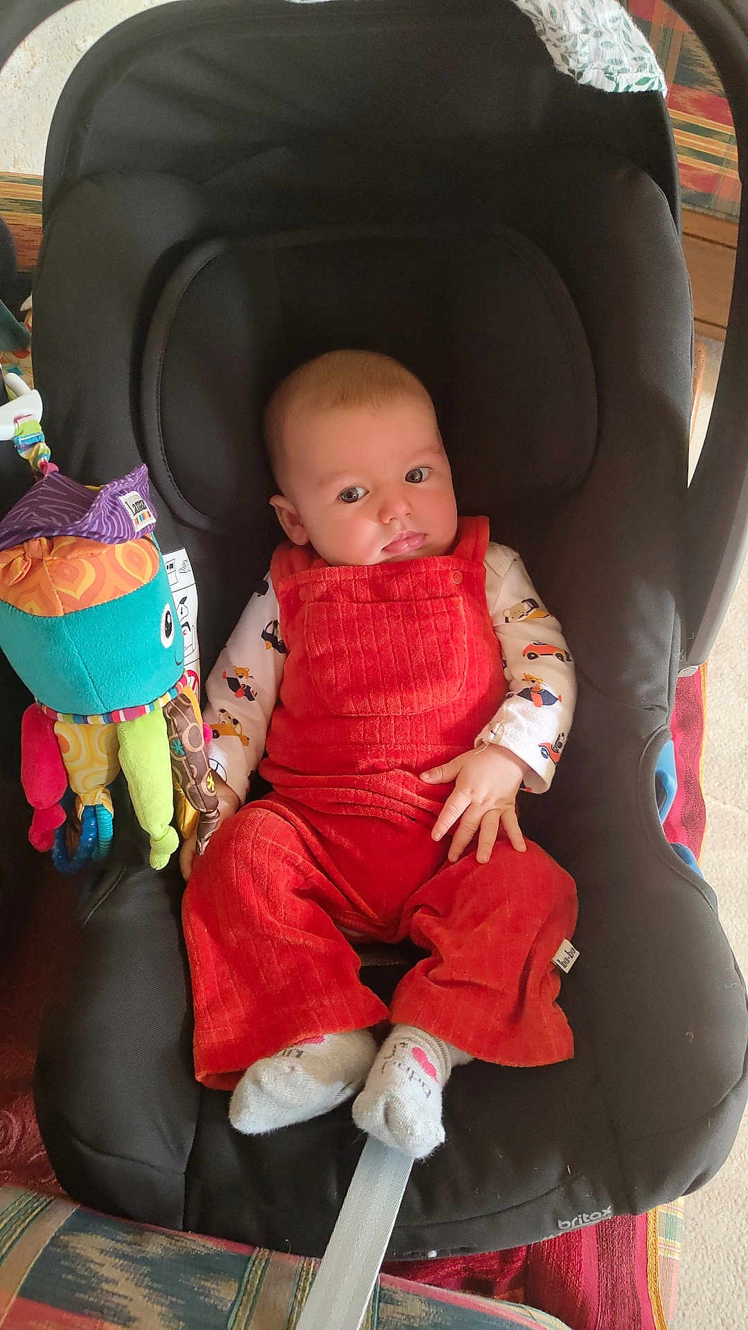 Rafael participe au concours pour gagner de l'argent avec cette photo : baby, child, car_seat, plush_toy, octopus_toy, red_overalls, socks, indoor, cute, infant, seat_belt, soft_toy, colorful, portrait, person, clothing, toy, comfort, young_child, relaxed