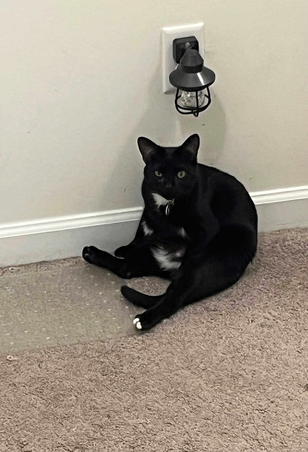 Ember