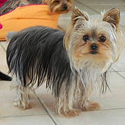 Iloa a rejoint le concours — aidez-le/la à gagner de superbes lots !