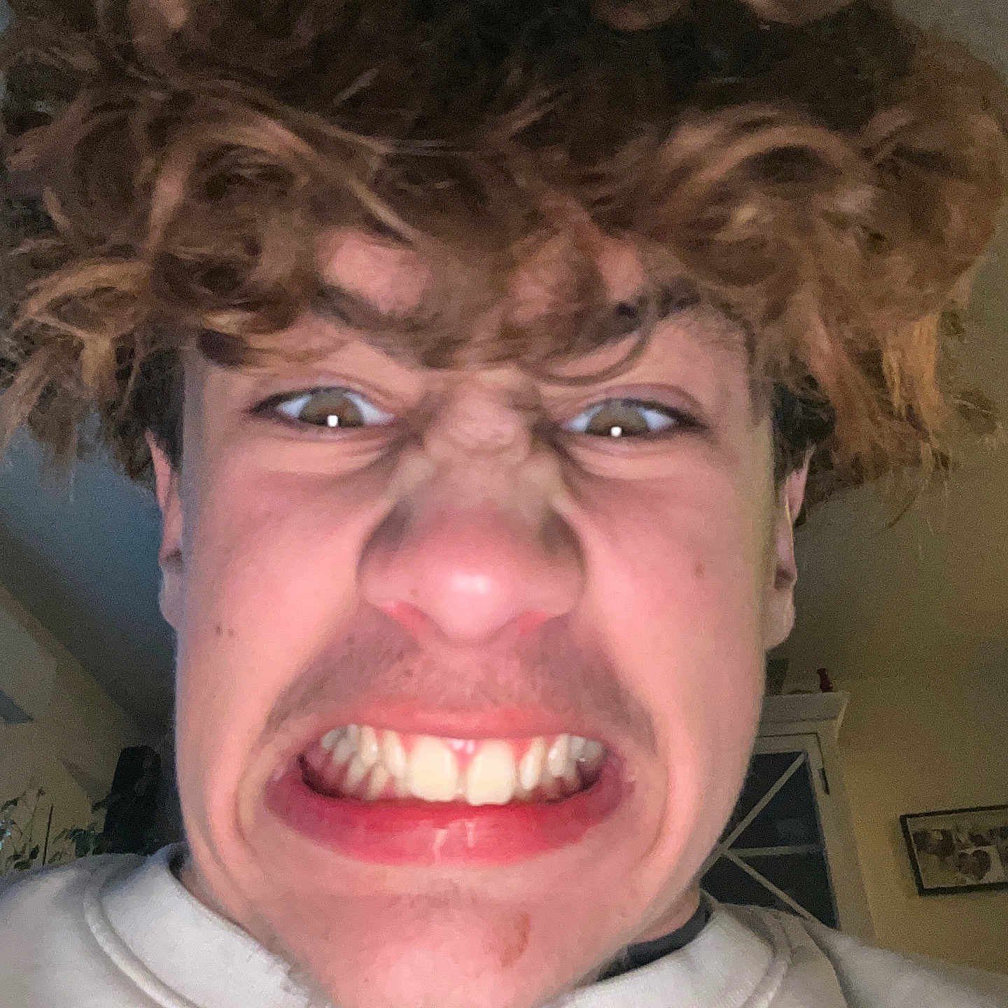 Kasey participe au concours pour gagner de l'argent avec cette photo : casual, closeup, curly_hair, emotion, expression, face, grimace, hair, head, human, indoor, mouth, nostrils, person, portrait, selfie, skin, sweatshirt, teeth, young_person