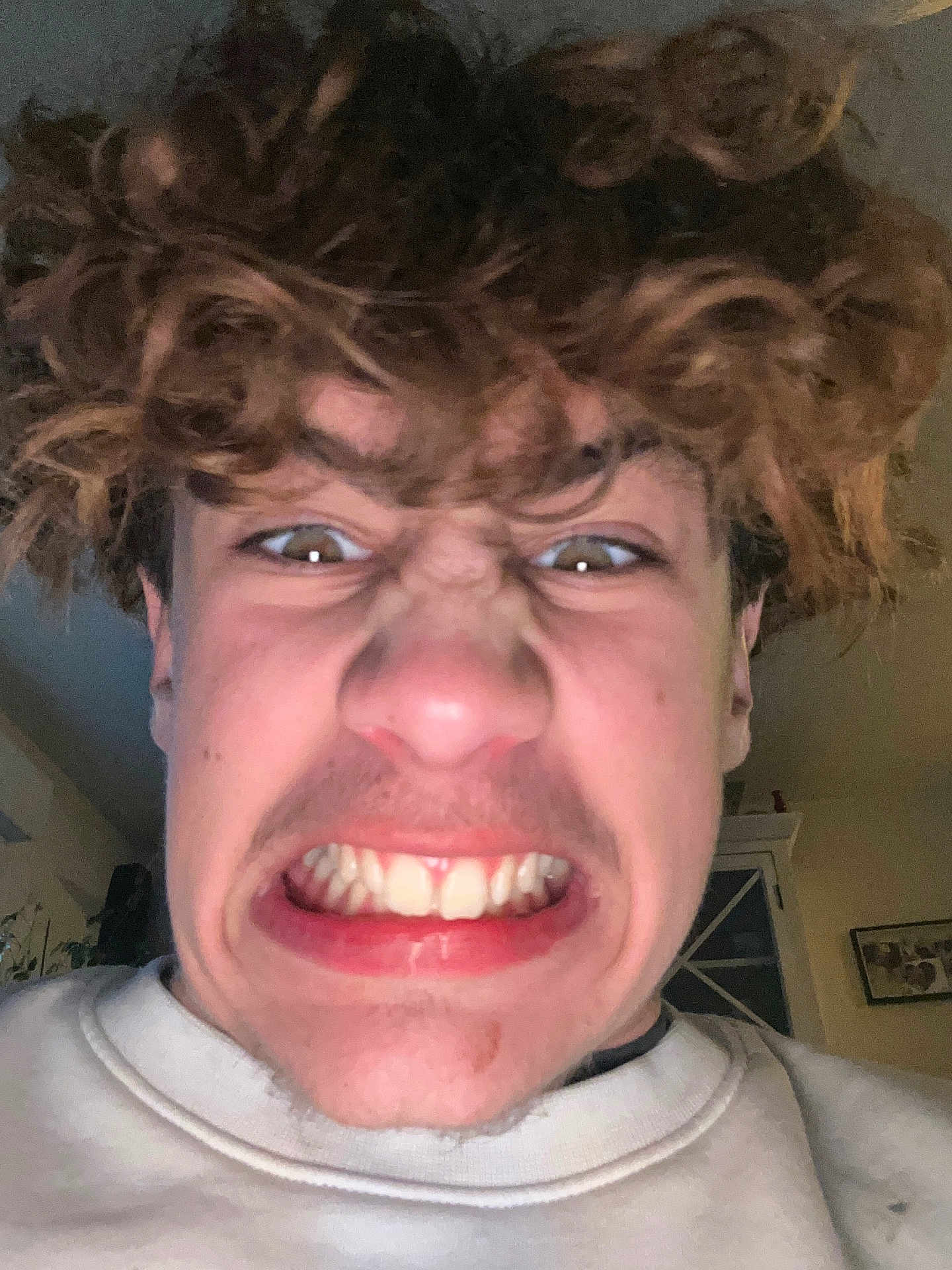 Kasey participe au concours pour gagner de l'argent avec cette photo : person, face, curly_hair, expression, grimace, teeth, indoor, sweatshirt, young_person, closeup, casual, head, skin, mouth, nostrils, hair, emotion, portrait, selfie, human