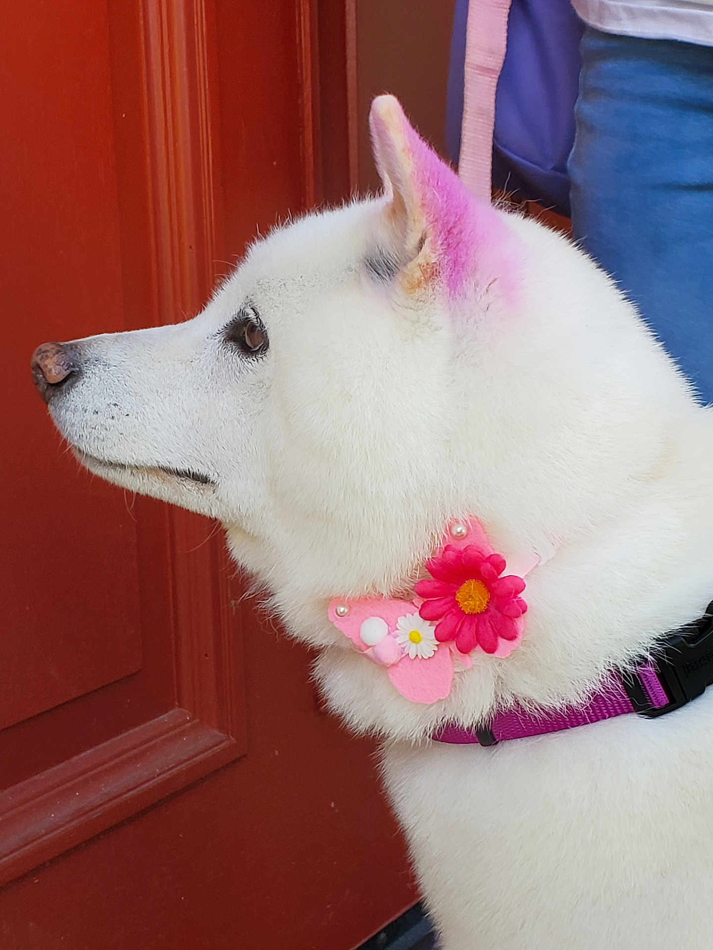 Coco