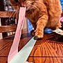 cat, orange_cat, fluffy, paw, whiskers, table, wooden_table, paper_strip, pink_paper, green_paper, indoor, curious, playful, close_up, pet, animal, feline, home, investigation, mischievous