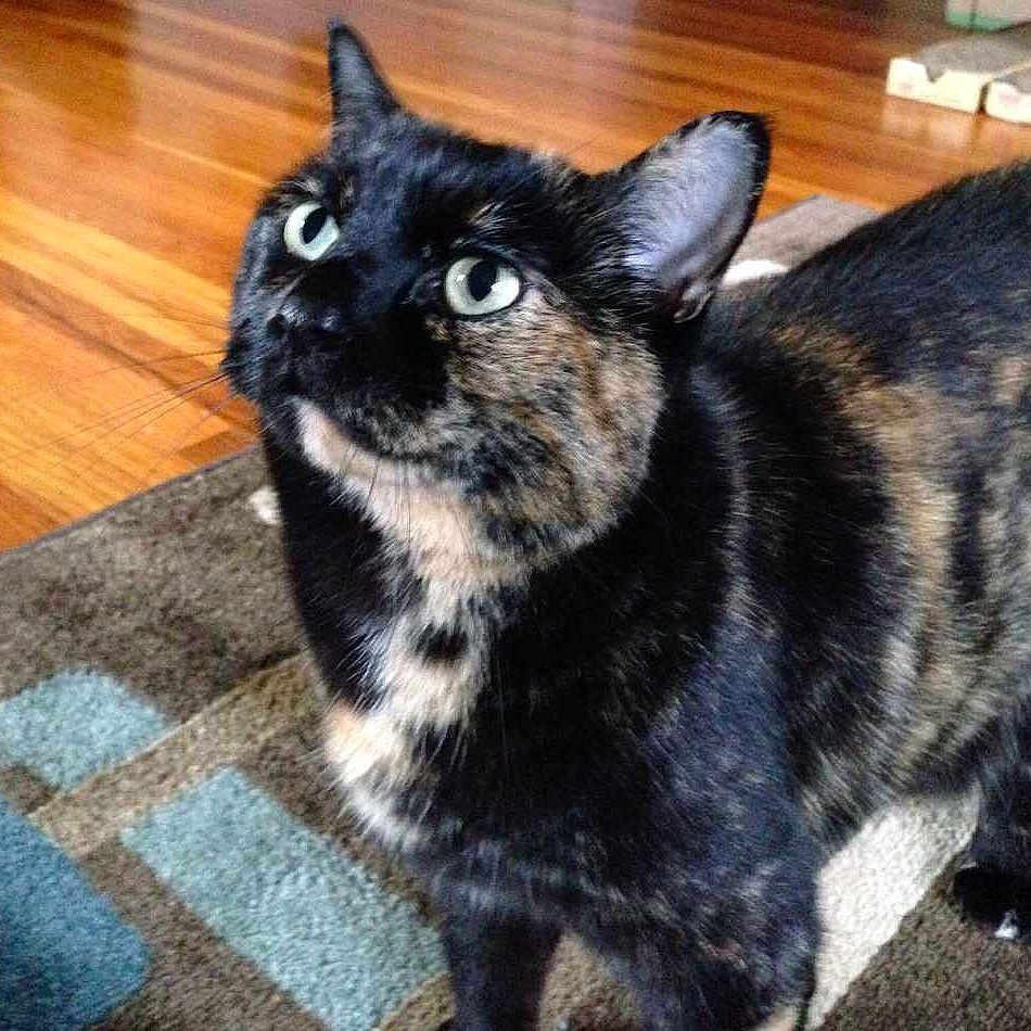 Spunky