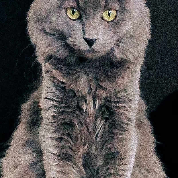 Wolfe