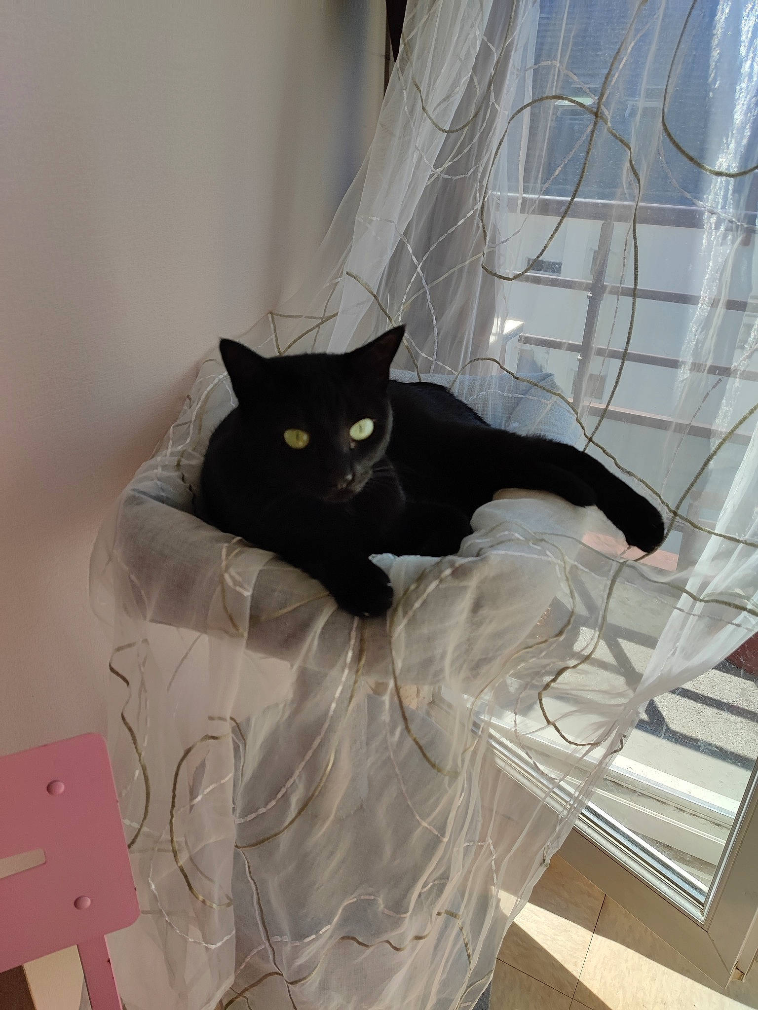 Palamos-léane participe au concours pour gagner de l'argent avec cette photo : art, black_cat, bombay, carnivore, cat, comfort, domestic_short_haired_cat, felidae, flooring, fur, grey, linens, paper_product, pattern, room, small_to_medium_sized_cats, snout, stairs, tail, whiskers