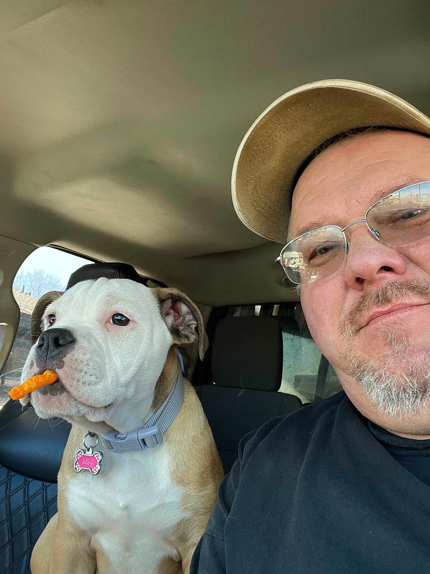 Lily joined the competition — help win amazing prizes! dog, man, selfie, car_interior, glasses, cap, collar, pet_tag, cheese_puff, snack, seat, window, casual_clothing, beard, light, daytime, brown_and_white_dog, close_up, indoor, expression