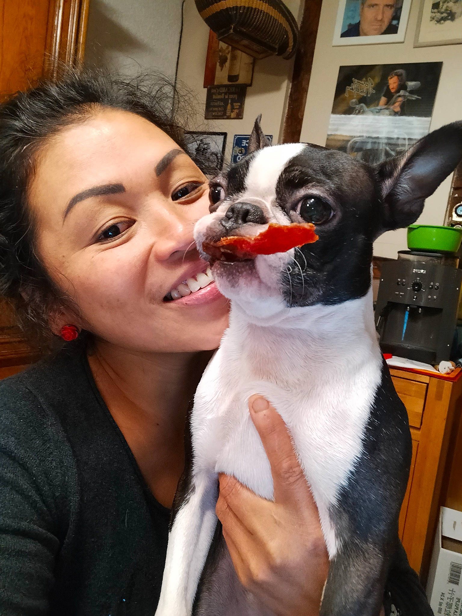 Paddy a rejoint le concours — aidez-le/la à gagner de superbes lots ! canidae, carnivore, companion_dog, dog, dog_breed, ear, eyewear, fawn, formal_wear, fun, fur, gesture, happy, picture_frame, plush, selfie, smile, snout, stuffed_toy, toy