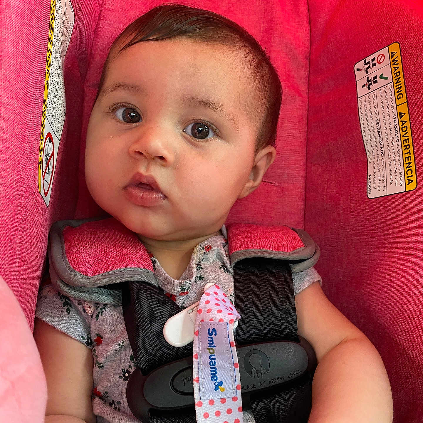 Layla is registered to the contest to win money with this photo: accessories, baby, bodypart, car, car_interior, carseat, clothing, coat, cushion, face, finger, hand, head, homedecor, jacket, person, photography, portrait, transportation, vehicle