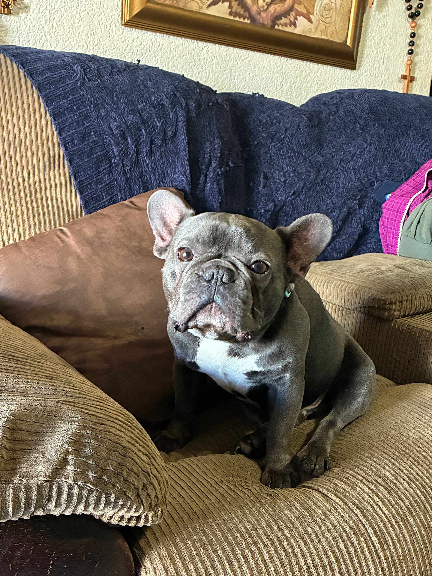 Duke