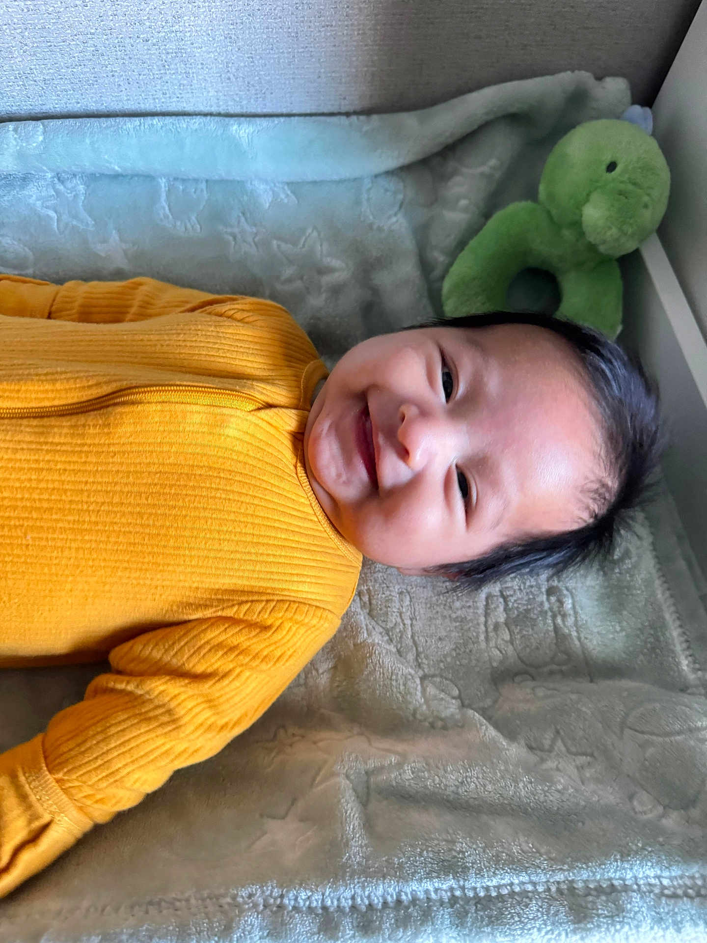Ethan M is registered to the contest to win money with this photo: baby, infant, smiling, yellow_outfit, onesie, blanket, plush_toy, green_dinosaur, face, head, hair, cheek, newborn, cute, portrait, lying_down, indoor, soft_texture, happy, close_up