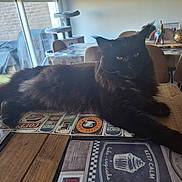 Tiago participe au concours pour gagner de l'argent avec cette photo : animal, black_cat, cat, cat_tree, chair, cozy, daylight, decor, dining_room, feline, figurine, home, indoor, pet, placemat, relaxed, stretching, table, window, wooden_table