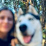 Max a rejoint le concours — aidez-le/la à gagner de superbes lots ! dog, person, outdoor, forest, trees, nature, blur, happy, animal, canine, portrait, smile, daytime, collar, background, friendship, companionship, blurred, face, pet