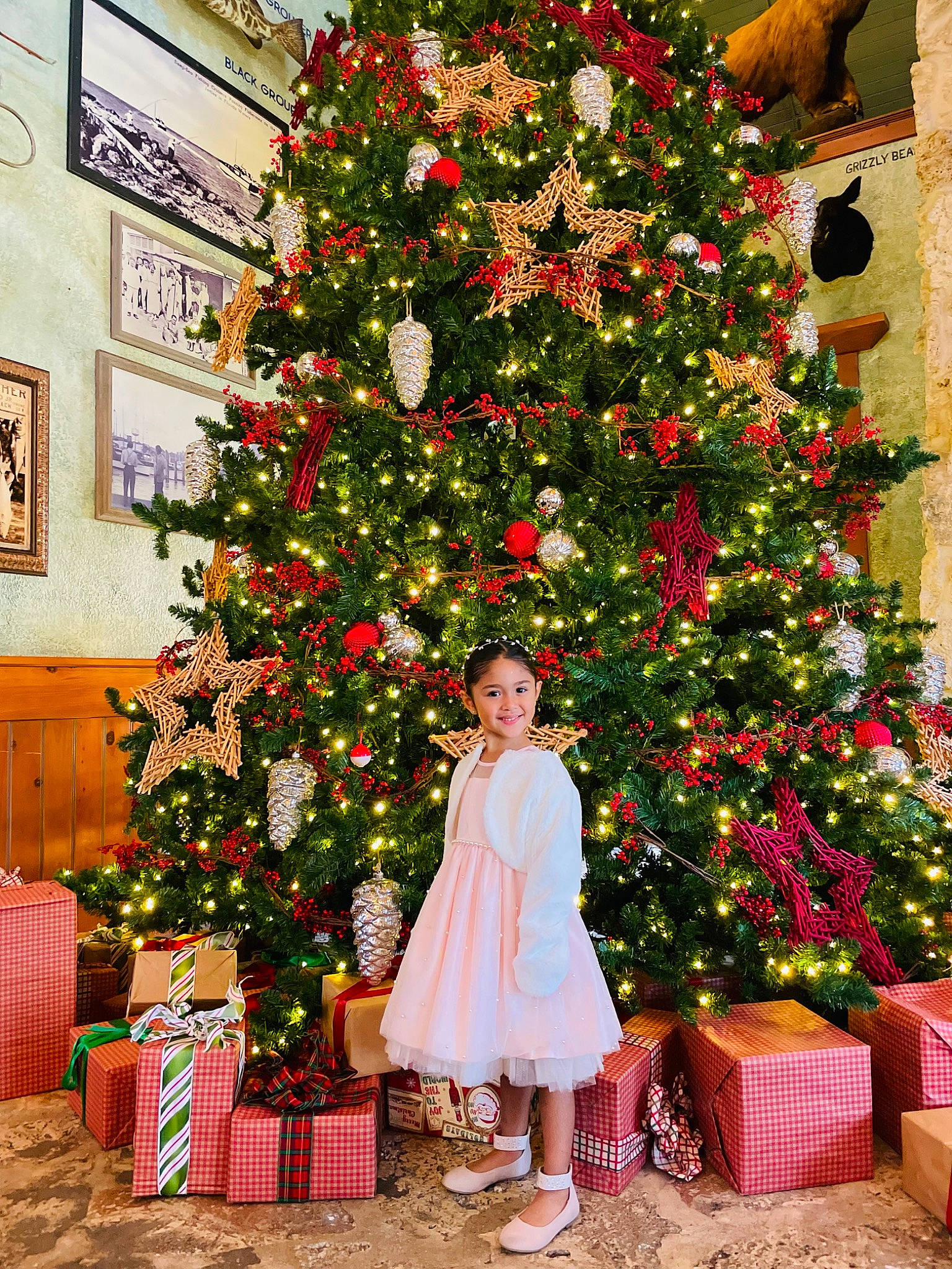 Brianna is registered to the contest to win money with this photo: christmas, christmas_decoration, christmas_eve, christmas_ornament, christmas_tree, conifer, event, evergreen, floral_design, flower, flower_arranging, flowerpot, happy, holiday, holiday_ornament, interior_design, joy, ornament, person, plant