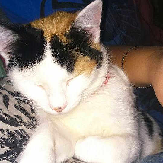 Louan participe au concours pour gagner de l'argent avec cette photo :