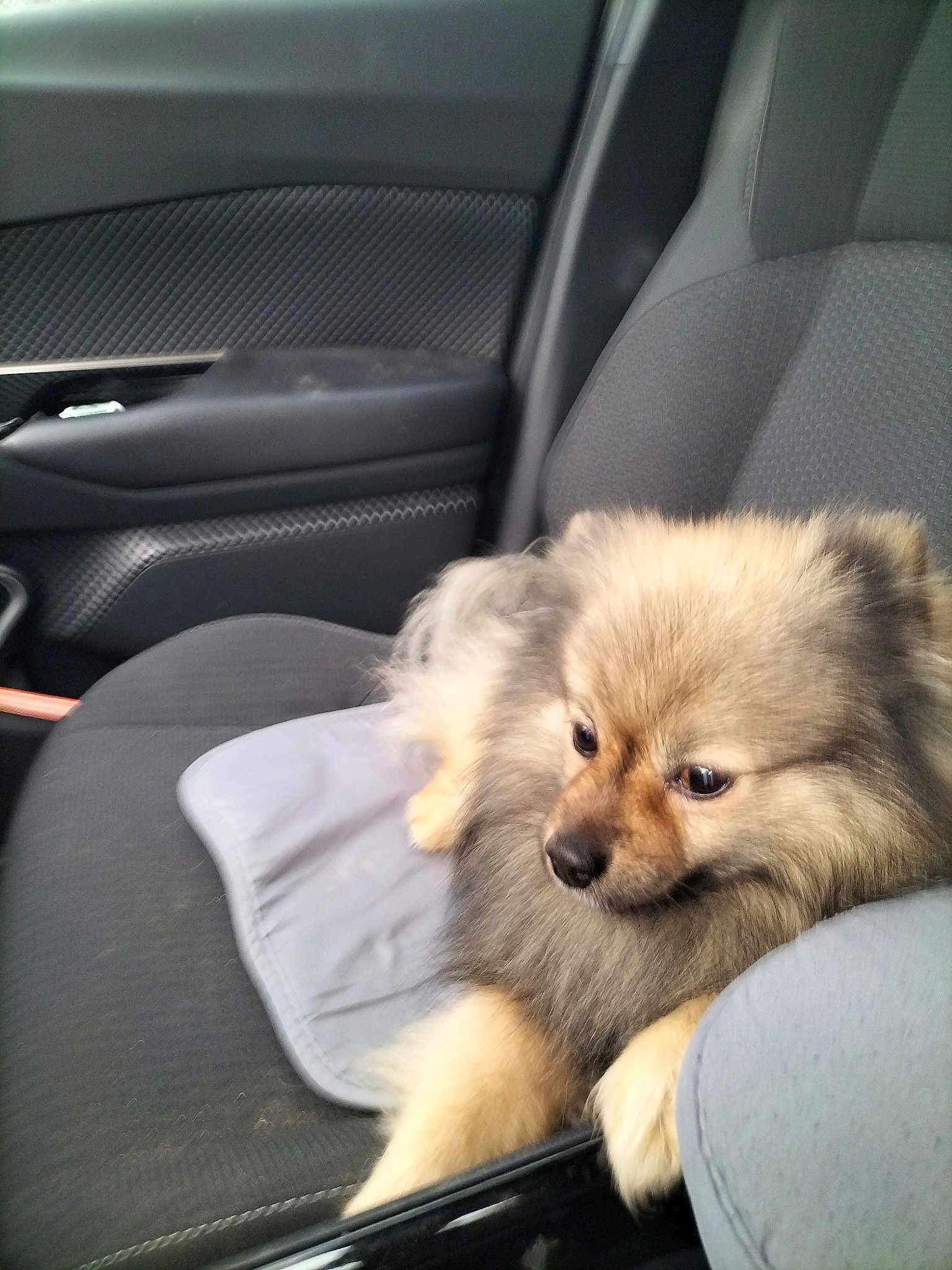 Oliver