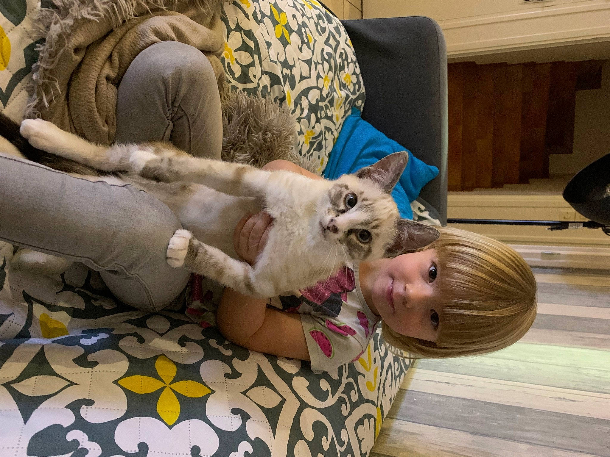 Myla participe au concours pour gagner de l'argent avec cette photo : carnivore, cat, comfort, companion_dog, couch, fawn, felidae, floor, flooring, fur, hardwood, human_leg, leisure, linens, living_room, pattern, person, room, small_to_medium_sized_cats, textile