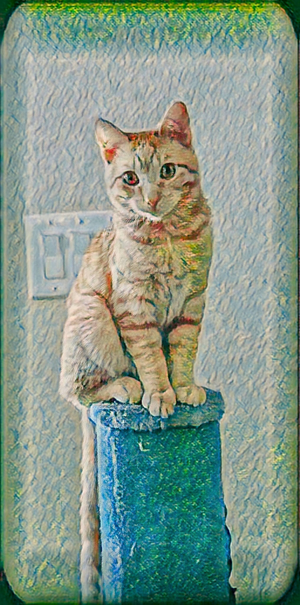 Ginger Boy joined the competition — help win amazing prizes! art, carnivore, cat, creative_arts, domestic_short_haired_cat, electric_blue, felidae, fur, illustration, linens, paint, pattern, rectangle, small_to_medium_sized_cats, snout, tail, terrestrial_animal, visual_arts, whiskers