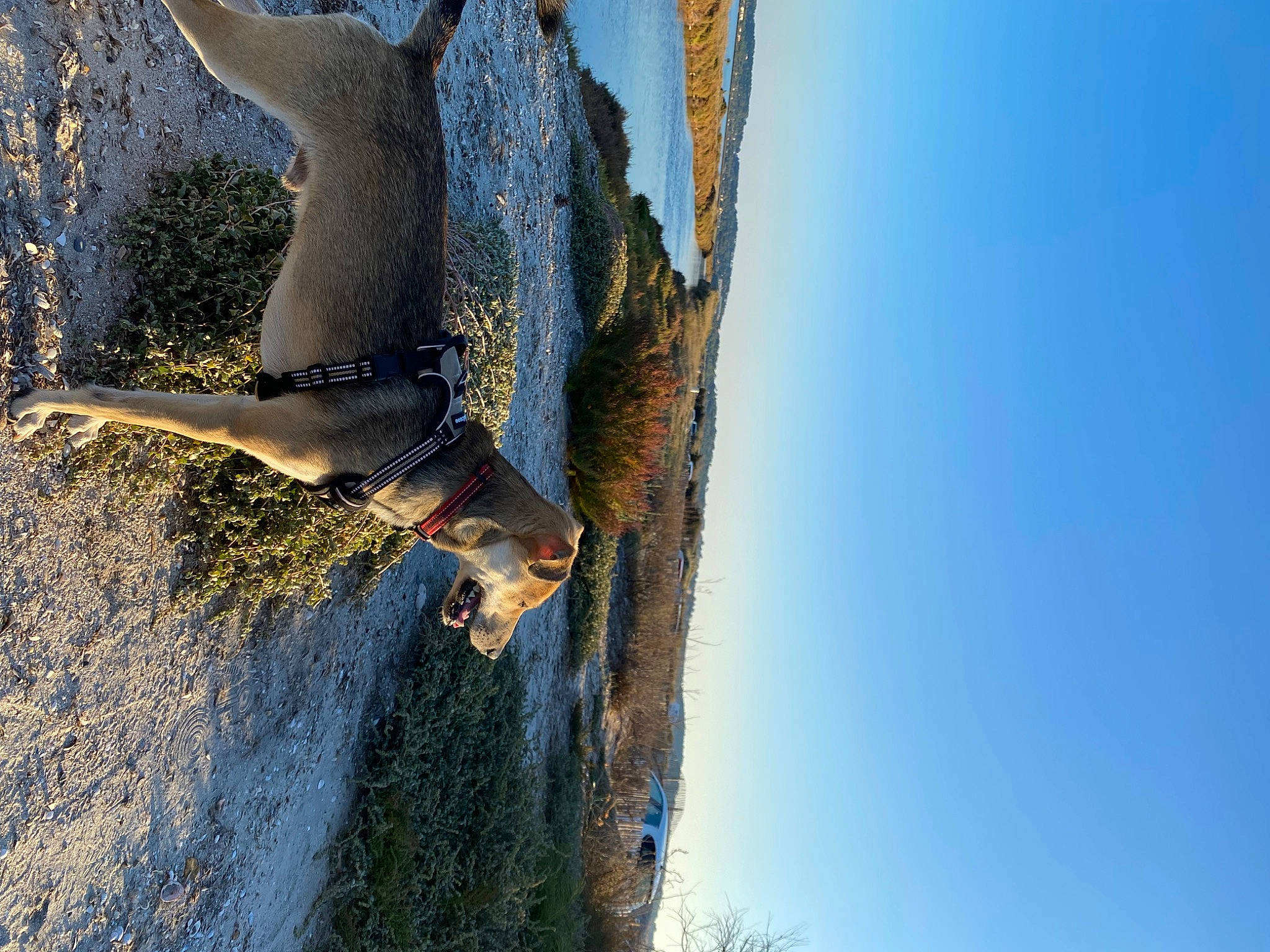 Sam participe au concours pour gagner de l'argent avec cette photo : azure, branch, freezing, landscape, plant, plant_stem, reflection, rock, shadow, sky, tail, tree, trunk, twig, water, winter, wood