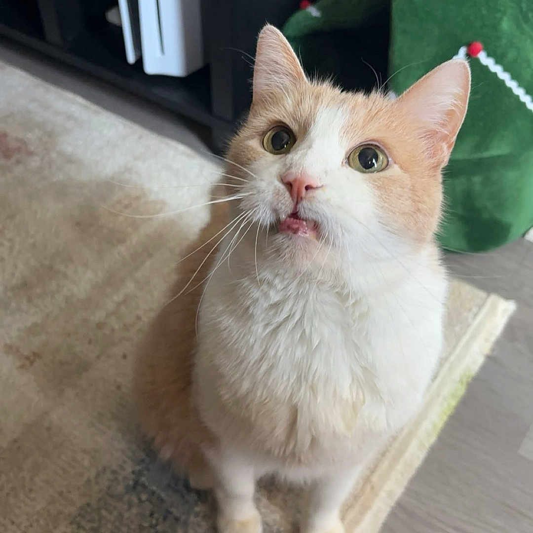 Charlie