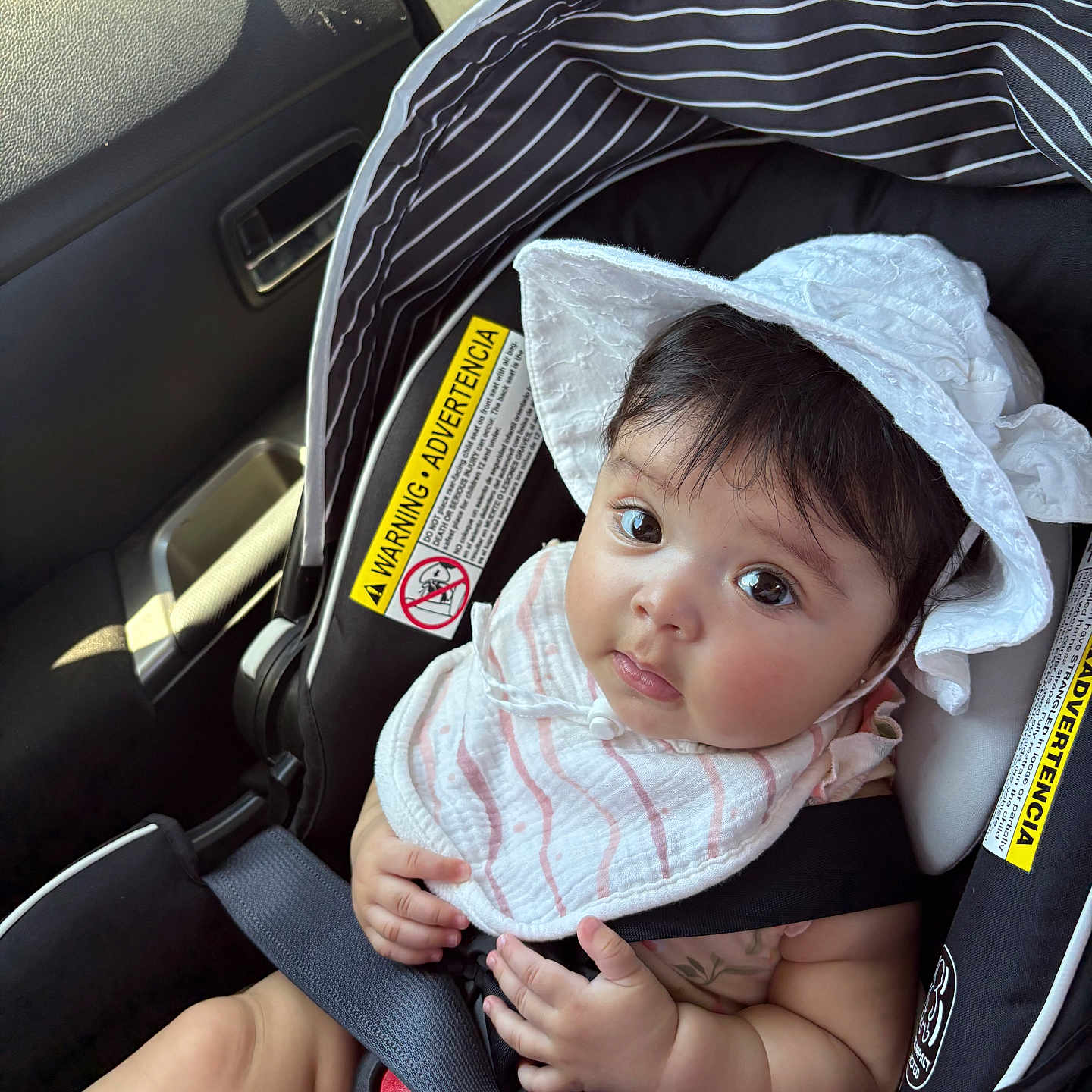 Louisa joined the competition — help win amazing prizes! baby, infant, child, car_seat, vehicle,  bonnet, bib, striped_clothing, white_clothing, sitting, reclining, face, eyes, brown_hair, looking_at_camera, indoors, travel, seatbelt, portrait, safe