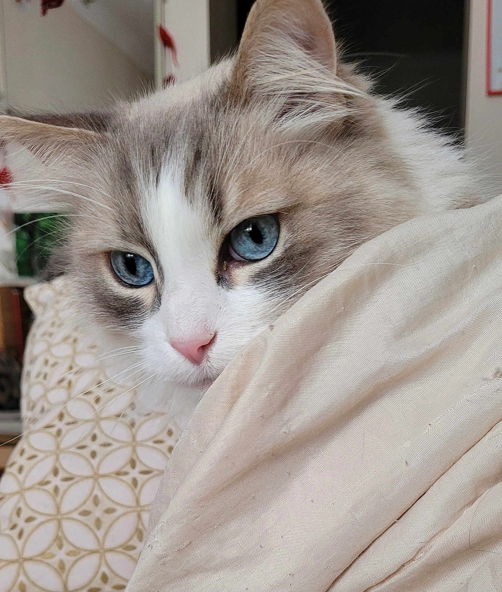 Coco