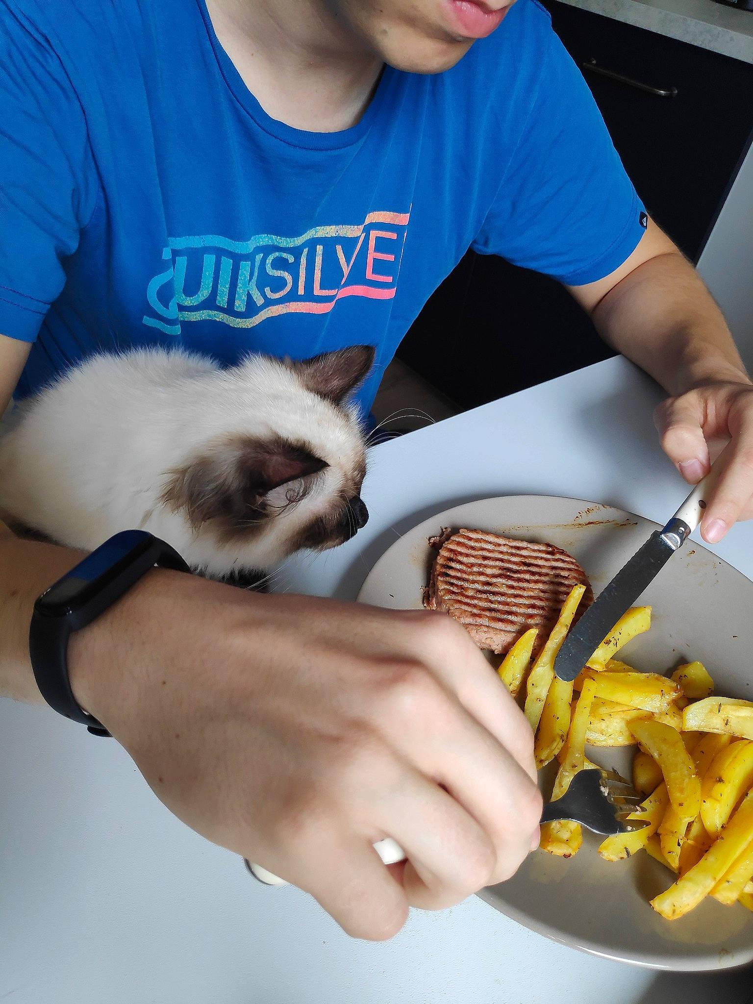 Stuart participe au concours pour gagner de l'argent avec cette photo : comfort_food, cuisine, deep_frying, dish, elbow, engineering, felidae, finger_food, food, fried_food, frying, hand, ingredient, junk_food, potato, recipe, siamese, staple_food, t_shirt, tableware