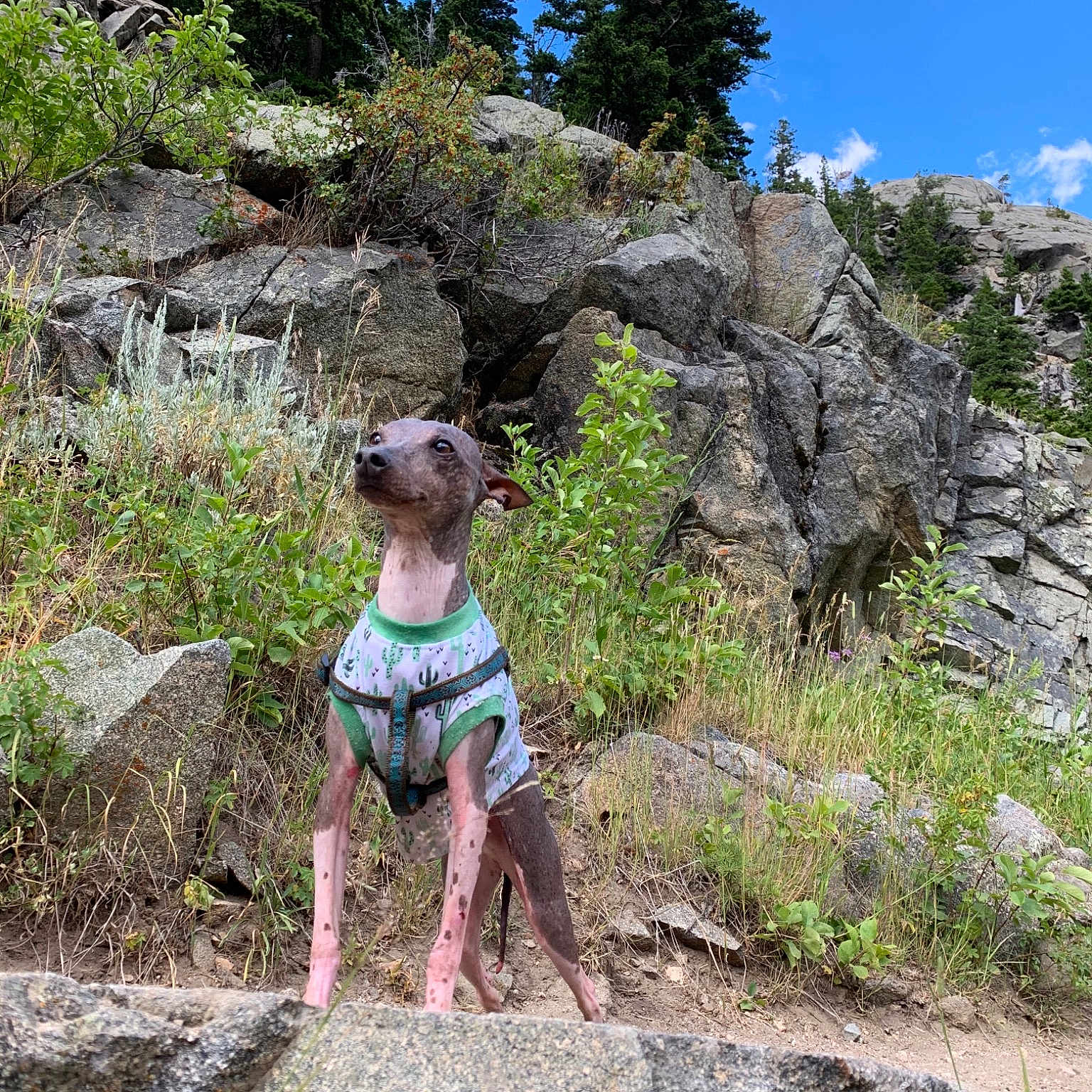 Astro